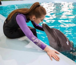 Плавание с дельфинами для одного + фото