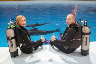 Дайвинг с дельфинами