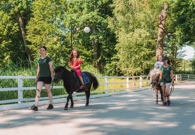 Кінна прогулянка біля Рівного
