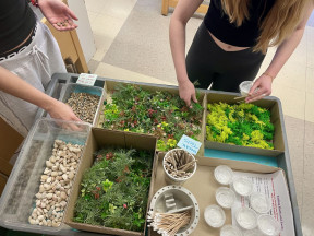 Мастер-класс картины по моху для детей в Киеве