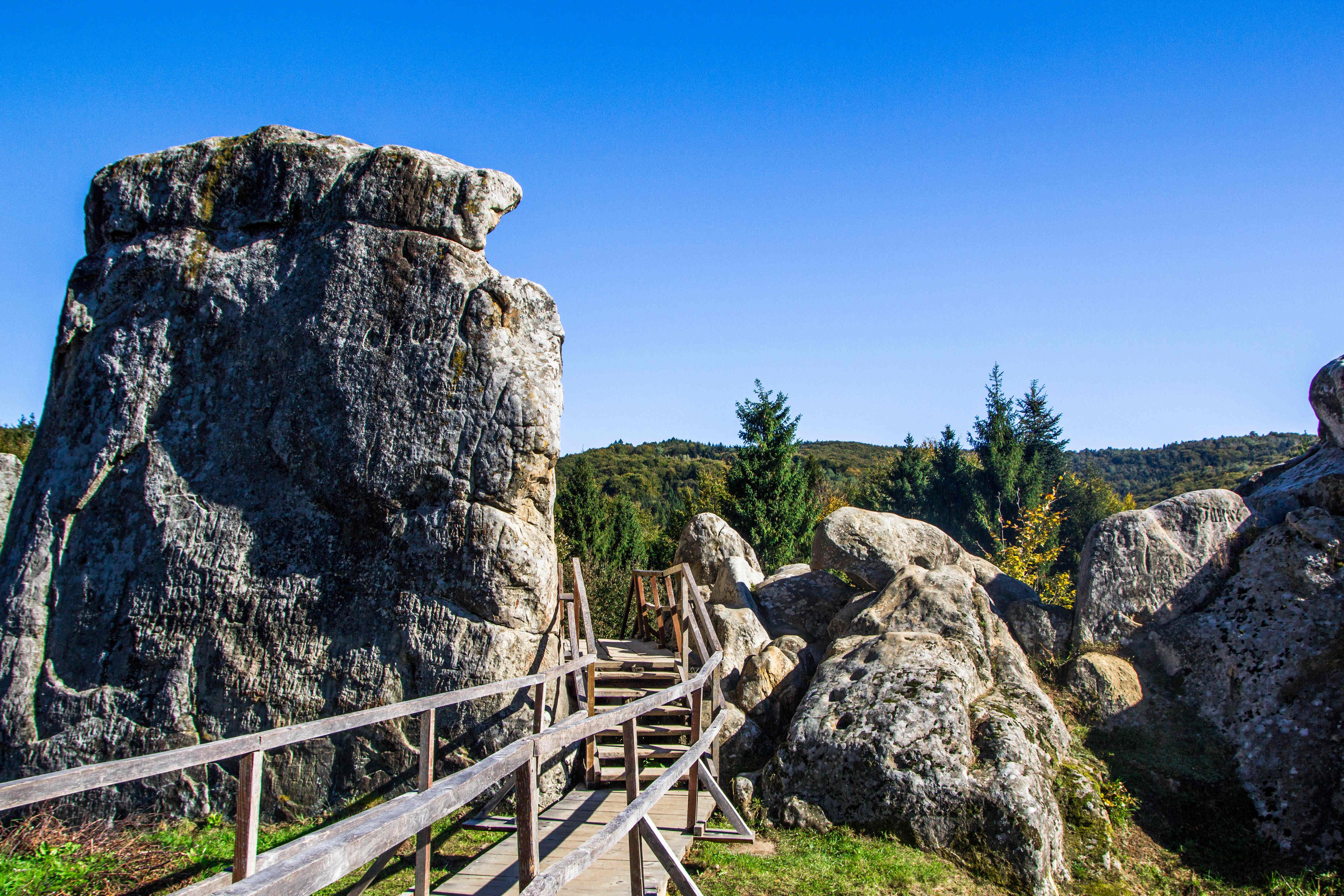 Карпати за 1 день