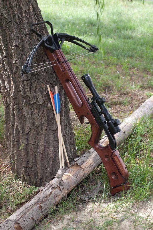 Стрільба з арбалета біля Рівного
