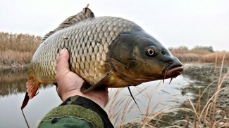Мастер класс по рыбалке на водоеме в Днепре