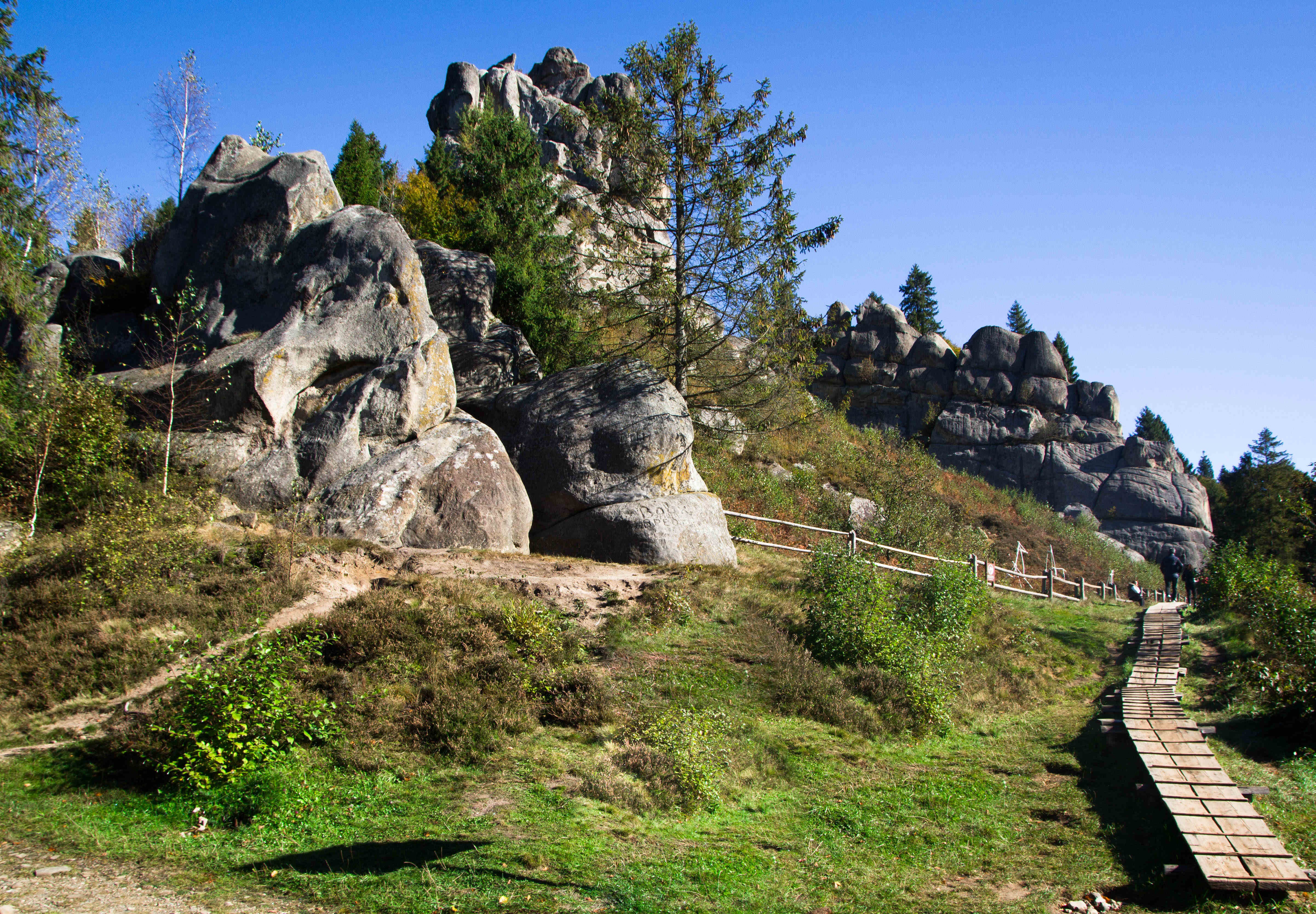 Карпати за 1 день - фото 4