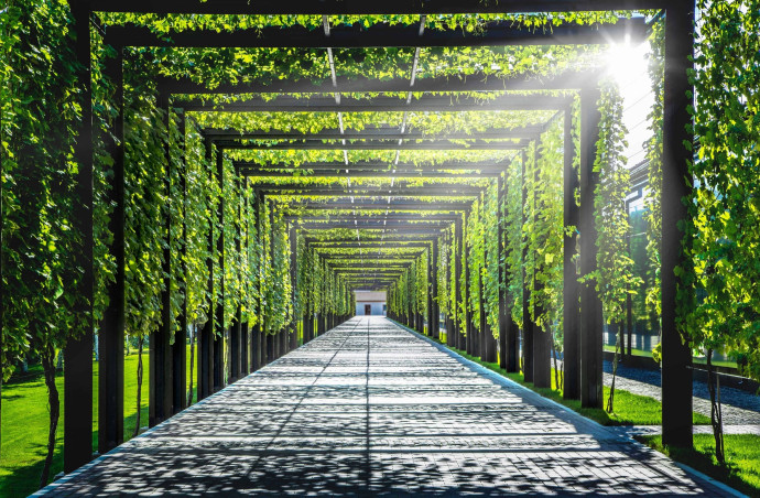 Экскурсии в Центр культуры вина SHABO