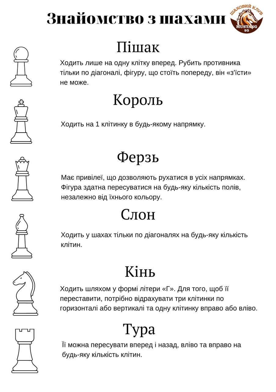 Майстер-клас гри в шахи у Кривому Розі - фото 16