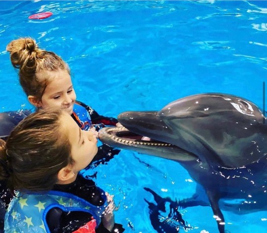 Плавання з дельфінами для одного  + фото