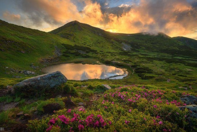 Тур - Піп Іван Чорногірський + червона рута