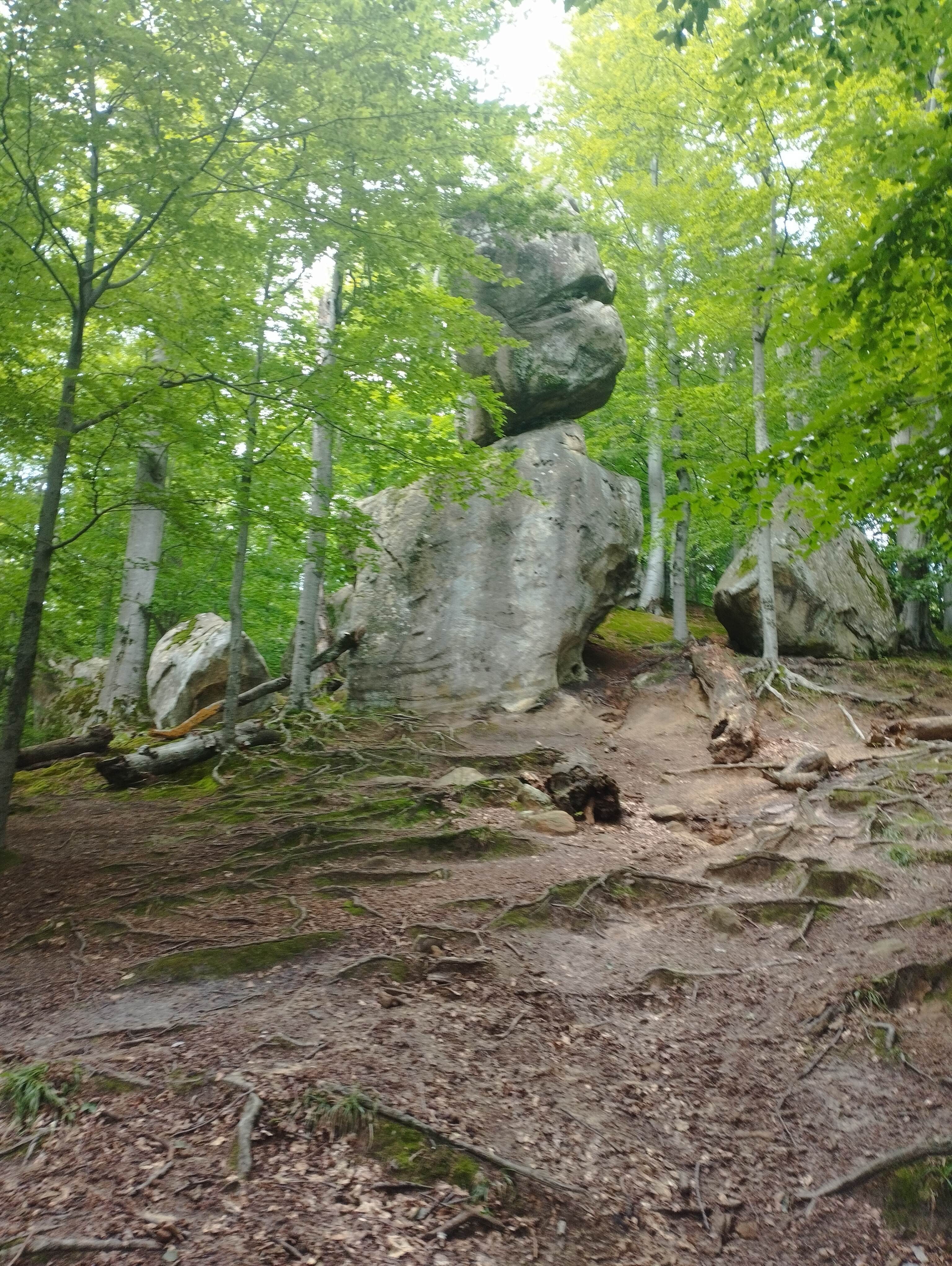 Чотириденний тур - Нові карпатські канікули - фото 5