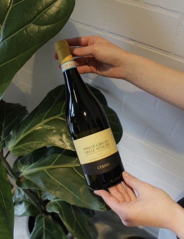 Дегустация вина в Каменском