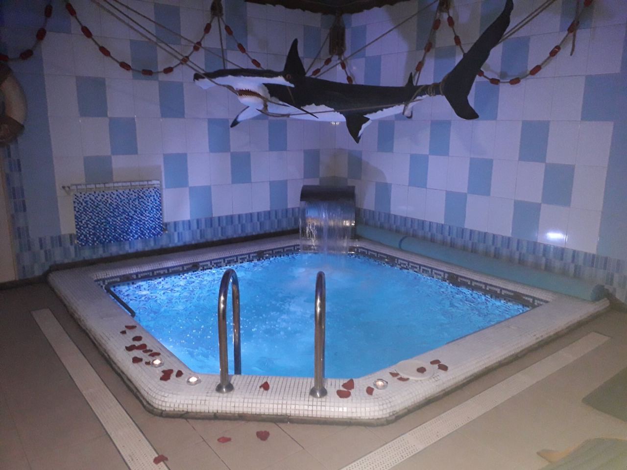 Spa програма для чоловіків в Кривому Розі - фото 8