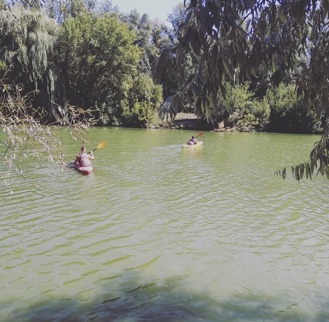 Прогулка на каяках в Харькове - фото 19