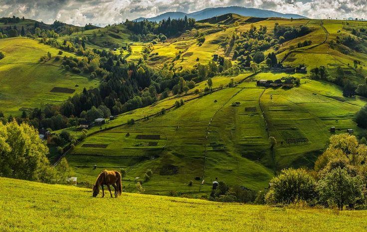 Солодкі Карпати і панські палаци - фото 6