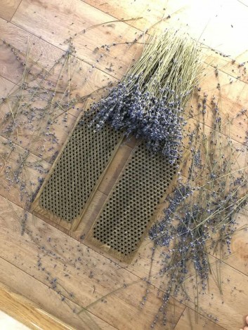 Цвяхостояння в Кременчузі