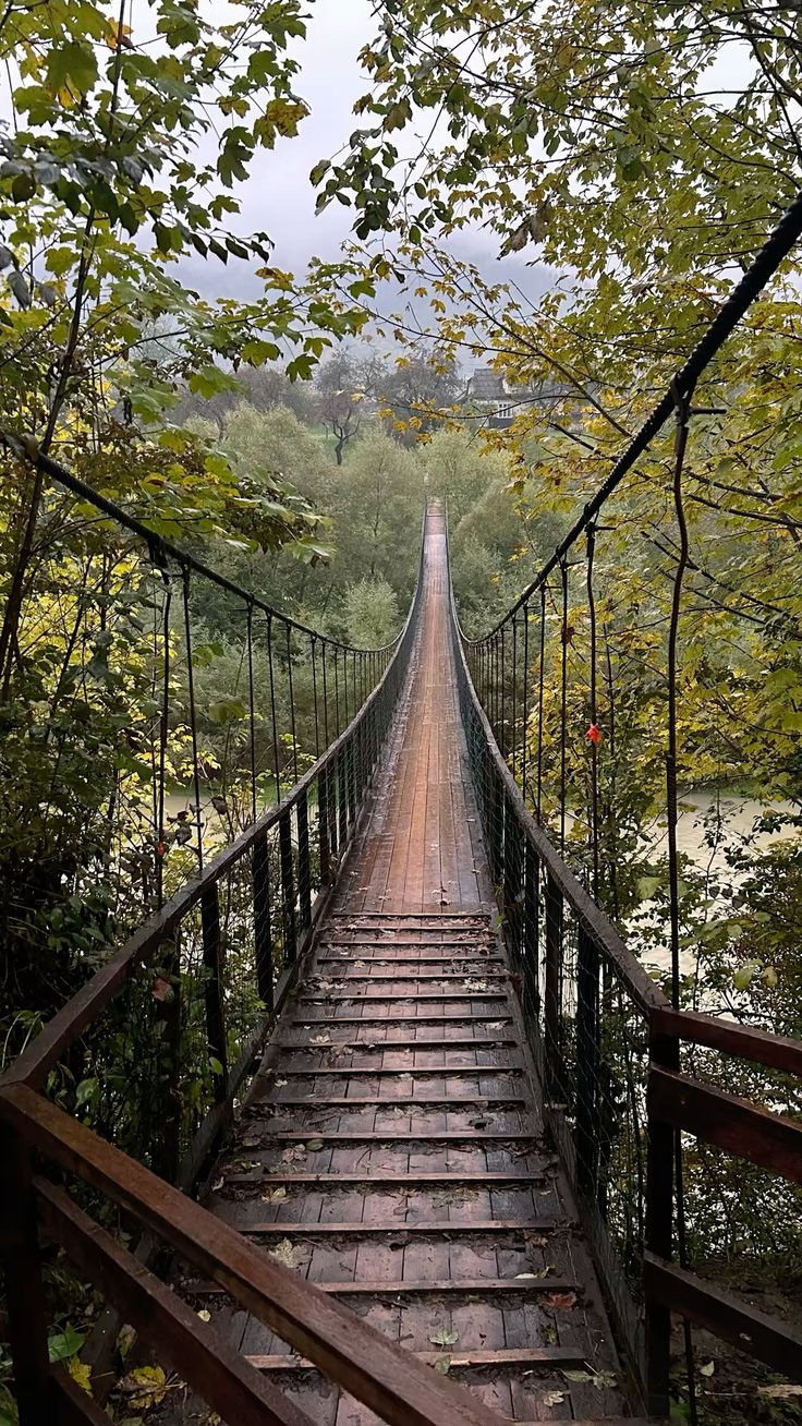Подъем на Говерлу, Яремче + Буковель - фото 3