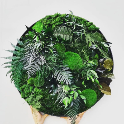 Майстер-клас картини з моху для дорослих у Києві