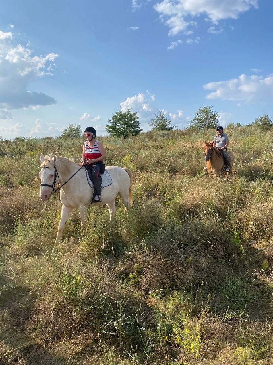 Кінна прогулянка в Запоріжжі - фото 14