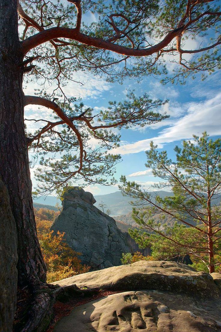 Чотириденний тур - Нові карпатські канікули - фото 9