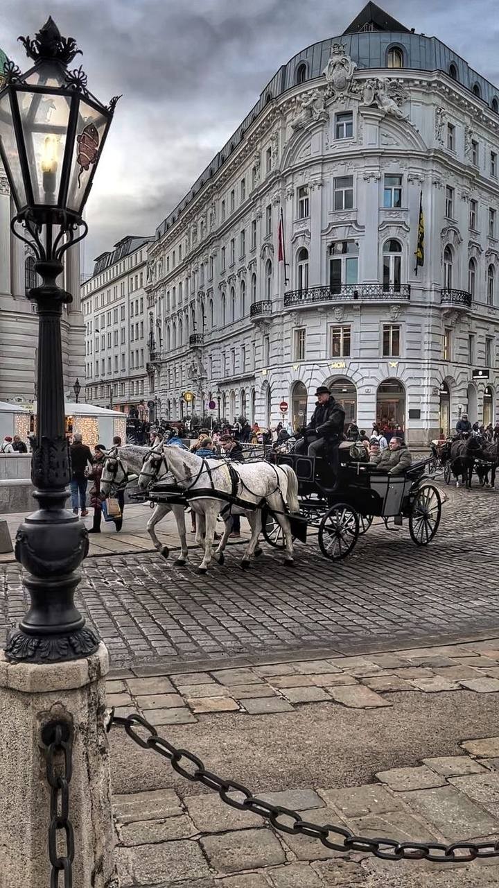 Тур в Вену и Прагу - фото 5