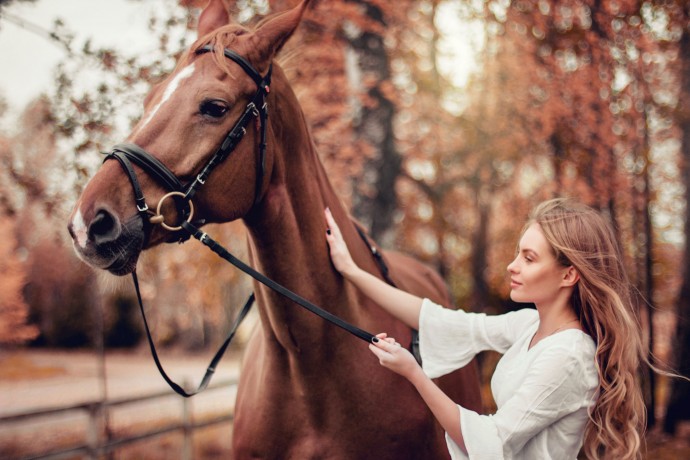 Кінна прогулянка в Черкасах