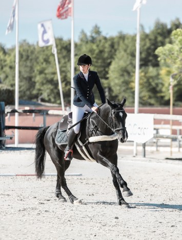 Урок верхової їзди Start