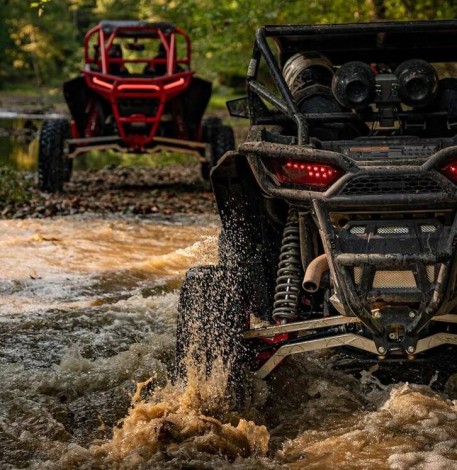 Экстрим на баги в Виннице