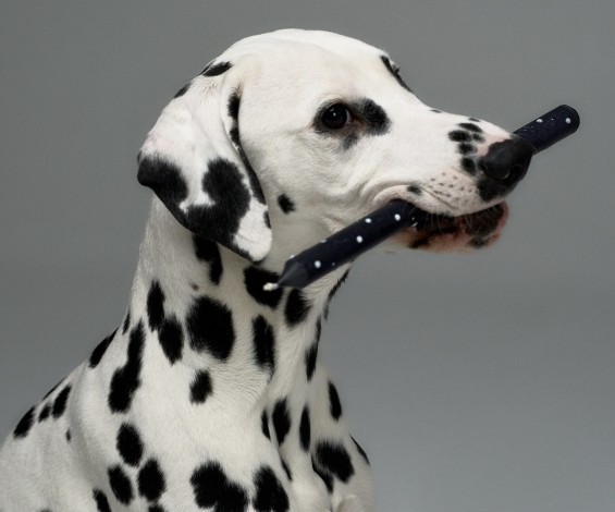 Мастер-класс по свечеварению в Киеве