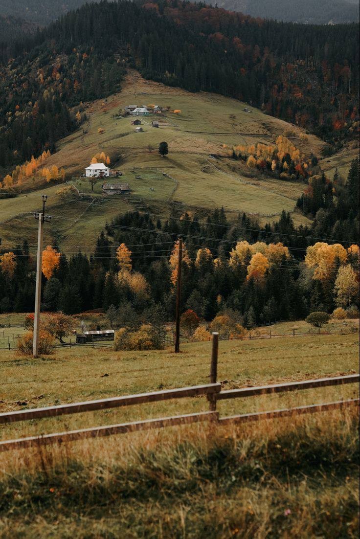 Солодкі Карпати і панські палаци - фото 5