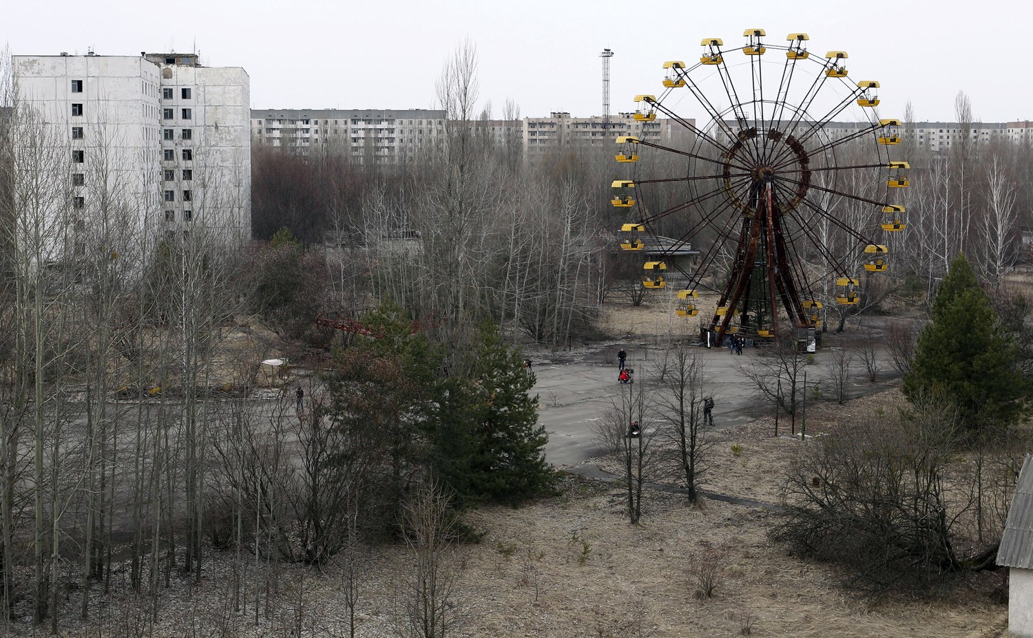 Чернобыльская пуща